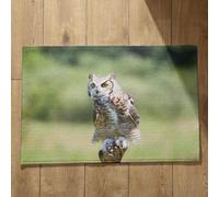 Isdreem Tapis de Bain Absorbant Sechage Rapide Tapis D'Entrée Intérieur Japonais Hibou Tapis de Cuisine Indienne Tapis D'Entrée Intérieur Lavable, 50x80cm