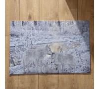 Isdreem Tapis de Bain Absorbant Tapis Salle de Bain Long Loup Tapis de Sol Bivouac Tapis Salle de Bain Carré Tapis Décoratifs Antidérapants en Coton Léger Et Pelucheux, 40x60cm