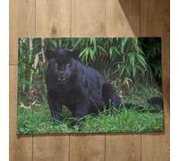 Isdreem Tapis de Bain Antiderapant Baignoire Petit Tapis Entrée Intérieur Panthère Noire Tapis de Sol Entrée Magasin Tapis pour Couloir D'Entrée, 50x80cm