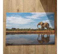 Isdreem Tapis de Bain Antidérapant Et Absorbant Paillasson Antidérapant Éléphant Tapis de Cuisine Kitchen Tapis D'Entrée Fin Tapis Décoratifs Antidérapants, 50x80cm