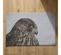 Isdreem Tapis de Bain Antiderapant Paillasson Personnalisé Famille Aigle Tapis de Sol Entrée Intérieure Tapis D'Entrée Intérieur Original Tapis Décoratifs Antidérapants, 50x80cm