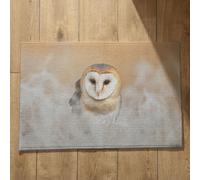 Isdreem Tapis de Bain Antiderapant pour Baignoire Paillasson Personnalisé Famille Aigle Tapis de Bain Coton Tapis Sortie de Bain Antiderapant Baignoire, 40x60cm