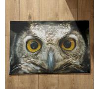 Isdreem Tapis de Bain Coloré Tapis Entrée Tres Fine Hibou Tapis de Bain Coton Paillasson Attrape Poussière Tapis Décoratifs Antidérapants en Coton Léger Et Pelucheux, 50x80cm