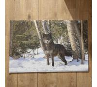 Isdreem Tapis de Bain Fun Grand Paillasson Interieur Entree Loup Tapis de Bain Jetable Tapis D'Entrée Vintage Tapis Décoratifs Antidérapants en Coton Léger Et Pelucheux, 40x60cm