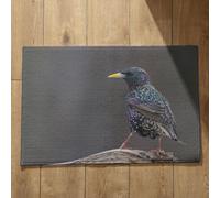 Isdreem Tapis de Bain Fun Paillasson Interieur Entree Oiseau Tapis de Bain XL Paillasson Exterieur Entree Personnalisé Tapis Décoratifs Antidérapants, 40x60cm