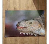 Isdreem Tapis de Bain Grand Tapis Entrée Lézard Tapis de Bain Vintage Tapis Hall D'Entrée Long Tapis Décoratifs Antidérapants en Coton Léger Et Pelucheux, 40x60cm