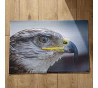 Isdreem Tapis de Bain Grande Taille Tapis Personnalisé Entrée Bienvenue Hibou Tapis de Bain Ultra Absorbante Tapis D Entrée Original Tapis Décoratifs Antidérapants, 50x80cm