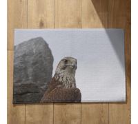 Isdreem Tapis de Bain Lavable en Machine Tapis Salle de Bain Lavable en Machine Aigle Tapis de Porte Automne Paillasson Original Tapis Décoratifs Antidérapants, 40x60cm