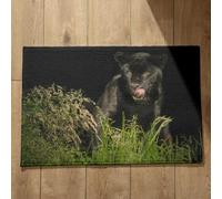 Isdreem Tapis de Bain Lavable en Machine Tapis Salle de Bain Ultra Absorbante Panthère Noire Tapis de Cuisine Joli Tapis D Entrée Tapis Décoratifs Antidérapants, 40x60cm