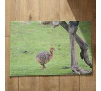 Isdreem Tapis de Bain Original Paillasson Interieur Lavable en Machine Oiseau Grand Tapis de Cuisine Antidérapant Et Lavable Tapis Entrée Grand Format, 45x75cm