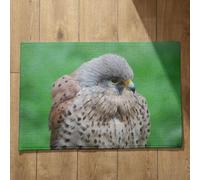 Isdreem Tapis de Bain Original Tapis D'Interieur Entrée Oiseau Tapis de Sol XXL Paillasson Manga Tapis Décoratifs Antidérapants en Coton Léger Et Pelucheux, 40x60cm