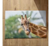 Isdreem Tapis de Bain Paillasson Fin Girafe Tapis de Porte Paillasson D'Entree Interieur Tapis Entrée Antidérapant Tapis Décoratifs Antidérapants, 40x60cm