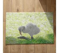 Isdreem Tapis de Bain Uni Tapis Entrée Long Oiseau Tapis de Bain Original Tapis Entrée Poil Ras Tapis Décoratifs Antidérapants en Coton Léger Et Pelucheux, 40x60cm