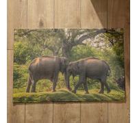 Isdreem Tapis de Bain XL Tapis D'Entrée Lavable Machine Éléphant Tapis de Sol Gaming Tapis Salle de Bain Ultra Absorbante Tapis Décoratifs Antidérapants, 45x75cm