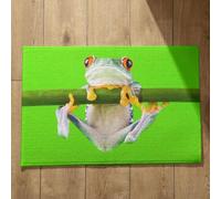 Isdreem Tapis de Bain XL Tapis D'Entrée Original Grenouille Tapis de Bain Coloré Grand Tapis Entrée Intérieur Tapis Décoratifs Antidérapants en Coton Léger Et Pelucheux, 45x75cm