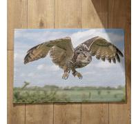 Isdreem Tapis de Bain XL Tapis Entrée Maison Intérieur Aigle Tapis de Sol Interieur Maison Tapis Entrée Long Tapis Décoratifs Antidérapants en Coton Léger Et Pelucheux, 45x75cm