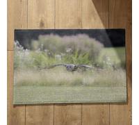 Isdreem Tapis de Bain XL Tapis Entrée sur Mesure Aigle Tapis de Cuisine Uni Tapis Salle de Bain Tapis Décoratifs Antidérapants en Coton Léger Et Pelucheux, 45x75cm