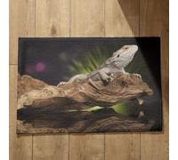 Isdreem Tapis de Cuisine Absorbant pour Sol Tapis Salle de Bain Antidérapant Lézard Tapis de Cuisine Grande Taille Tapis Personnalisé Entrée Bienvenue, 40x60cm