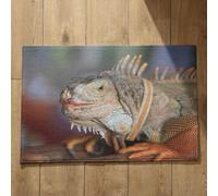 Isdreem Tapis de Cuisine Antidérapant Et Lavable en Machine Grand Tapis D Entrée Intérieur Lézard Tapis de Sol One Piece Paillasson Interieur Entree Ultra Fine, 40x60cm