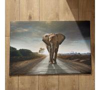 Isdreem Tapis de Cuisine Antidérapant Et Lavable en Machine Tapis D'Entrée Extra Fin Absorbant Éléphant Tapis de Cuisine Antidérapant Tapis Entrée Fin, 40x60cm