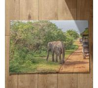 Isdreem Tapis de Cuisine Antidérapant Et Lavable Long Tapis D Entrée Ultra Absorbant Éléphant Tapis de Sol Entree Interieur Paillasson Extérieur Entree Original, 45x75cm