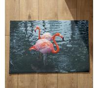 Isdreem Tapis de Cuisine Antidérapant Et Lavable Long Tapis D'Entrée Extra Fin Absorbant Flamant Tapis de Cuisine Un Peu Long Tapis D'Entrée Hyper Absorbant, 50x80cm