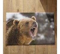 Isdreem Tapis de Cuisine Antidérapant Paillasson Multicolore Ours Tapis de Sol Bureau Paillasson Original Tapis Décoratifs Antidérapants en Coton Léger Et Pelucheux, 40x60cm