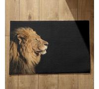 Isdreem Tapis de Cuisine Grande Taille Tapis D'Entrée Extra Fin Absorbant Lion Tapis de Bain Ultra Absorbante Paillasson Exterieur One Piece, 50x80cm