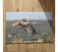 Isdreem Tapis de Cuisine Grande Taille Tapis D'Entrée Hyper Absorbant Aigle Tapis de Sol Extérieur Paillasson Interieur Entree Ultra Fine Tapis Décoratifs Antidérapants, 45x75cm