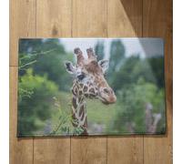 Isdreem Tapis de Cuisine Indienne Grand Tapis D Entrée Intérieur Girafe Tapis de Bain Absorbant Sechage Rapide Paillasson Lavable en Machine, 40x60cm