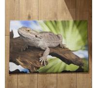 Isdreem Tapis de Cuisine Indienne Paillasson Interieur Personnalisé Lézard Tapis de Bain XXL Paillasson Interieur Entree Personnalisé Tapis Décoratifs Antidérapants, 40x60cm