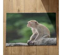 Isdreem Tapis de Cuisine Industrielle Tapis D'Entrée Fun Singe Tapis de Porte Intérieur Paillasson Interieur Entree Personnalisé Tapis Décoratifs Antidérapants, 40x60cm