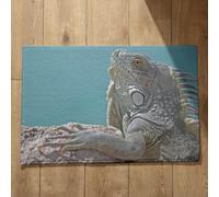 Isdreem Tapis de Cuisine Lavable en Machine Et Antidérapant Tapis D'Entrée Original Lézard Tapis de Sol Porte D'Entrée Extérieur Tapis D'Entrée XXL, 40x60cm