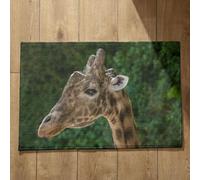 Isdreem Tapis de Cuisine Lavable en Machine Et Antidérapant Tapis Entrée Intérieur Absorbant Girafe Tapis de Bain Antiderapant pour Douche Paillasson Interieur Original, 40x60cm