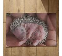 Isdreem Tapis de Cuisine Long Tapis D'Entrée Très Fin Hérisson Tapis de Porte D'Entrée Interieur Fantaisie Tapis Entrée Absorbant Tapis Décoratifs Antidérapants, 50x80cm