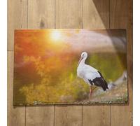 Isdreem Tapis de Cuisine Original Paillasson Absorbant Entree Oiseau Tapis de Bain Anti Humidité Tapis D'Entrée Personnalisé Tapis Décoratifs Antidérapants, 45x75cm