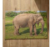 Isdreem Tapis de Cuisine Original Tapis D'Entrée Lavable en Machine Éléphant Tapis de Porte Tres Fine Tapis Long Couloir Entrée Tapis Décoratifs Antidérapants, 50x80cm