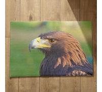 Isdreem Tapis de Cuisine XXL Tapis Entrée Absorbant Aigle Tapis de Sol Epais Tapis Seuil de Porte Exterieur Tapis Décoratifs Antidérapants en Coton Léger Et Pelucheux, 50x80cm