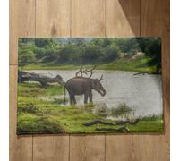 Isdreem Tapis de Porte Antidérapant Tapis Entrée Joli Éléphant Tapis de Porte Intérieur Grand Tapis D'Entrée Tapis Décoratifs Antidérapants en Coton Léger Et Pelucheux, 45x75cm