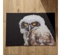 Isdreem Tapis de Porte Antidérapant Tapis Entrée sur Mesure Aigle Tapis de Sol Porte D'Entrée Intérieur Tapis D'Entrée Fun Tapis Décoratifs Antidérapants, 50x80cm