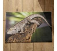 Isdreem Tapis de Porte D Entrée Intérieure Paillasson Exterieur Original Lézard Tapis de Cuisine Indienne Paillasson Interieur Lavable en Machine, 45x75cm