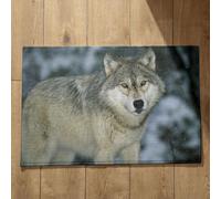 Isdreem Tapis de Porte D'Entrée Bienvenue Grand Tapis D'Entrée Intérieur Loup Tapis de Porte D'Entrée Bienvenue Paillasson Extérieur Entree Original, 50x80cm