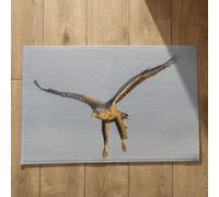 Isdreem Tapis de Porte D'Entrée Bienvenue Paillasson Absorbant Aigle Tapis de Cuisine Lavable Tapis Entrée Lavable en Machine Tapis Décoratifs Antidérapants, 40x60cm