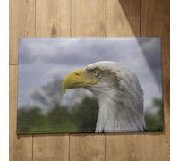 Isdreem Tapis de Porte D'Entrée Bienvenue Paillasson Entree Hibou Tapis de Bain Grande Taille Paillasson Exterieur Entree Original Tapis Décoratifs Antidérapants, 50x80cm