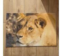 Isdreem Tapis de Porte D'Entrée Bienvenue Tapis D Entrée Personnalisé Lion Tapis de Sol Extérieur Tapis Entrée Naturel Tapis Décoratifs Antidérapants, 40x60cm