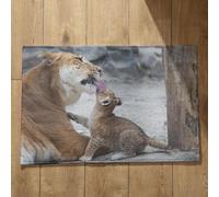 Isdreem Tapis de Porte D'Entrée Bienvenue Tapis D'Entrée Absorbant Lion Tapis de Sol Entrée Tapis Entrée Couloir Tapis Décoratifs Antidérapants, 40x60cm