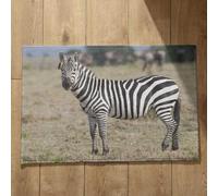 Isdreem Tapis de Porte D'Entrée Bienvenue Tapis D'Entrée Exterieur Original Zèbre Tapis de Porte sur Mesure Tapis Entrée Ultra Fine Tapis Décoratifs Antidérapants, 45x75cm