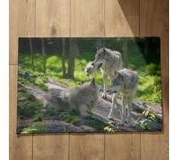 Isdreem Tapis de Porte D'Entrée Exterieur Personnalisé Paillasson Entree Loup Tapis de Sol One Piece Grand Paillasson Tapis Décoratifs Antidérapants, 45x75cm