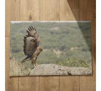 Isdreem Tapis de Porte D'Entrée Interieur Absorbant Tapis D'Entrée Welcome Aigle Tapis de Bain Coton Tapis Salle de Bain Extra Fin sous Porte, 40x60cm