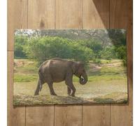 Isdreem Tapis de Porte D'Entrée Interieur Grand Paillasson Exterieur Entree Éléphant Tapis de Sol One Piece Tapis Plan de Travail Cuisine Tapis Décoratifs Antidérapants, 40x60cm